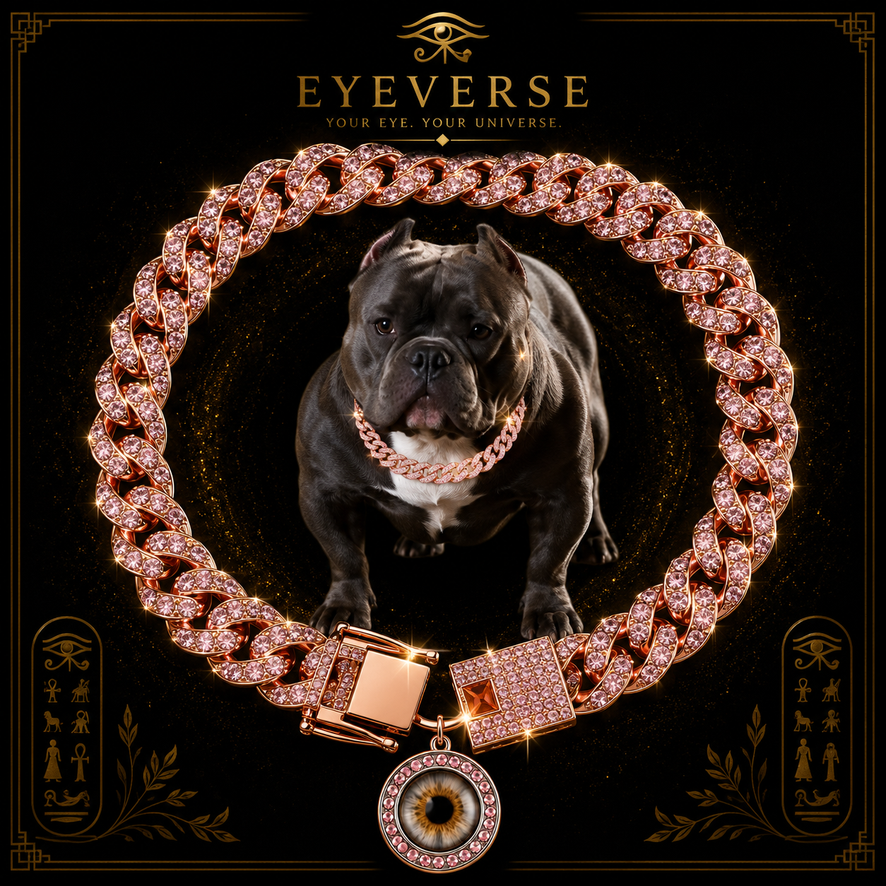 🐾 THE PET IRIS EXPERIENCE