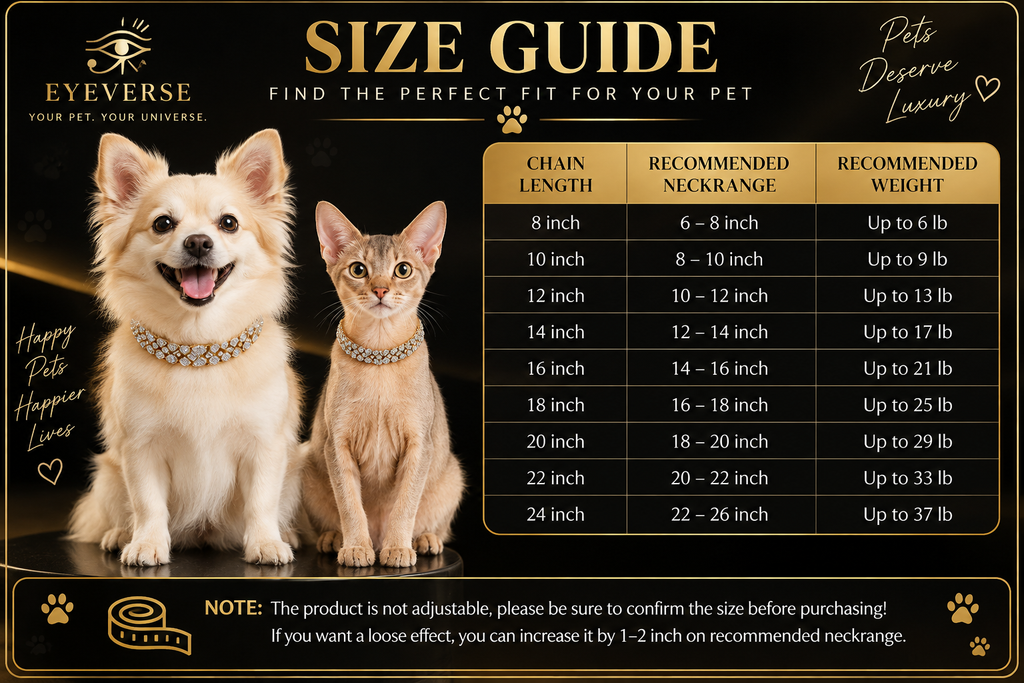 🐾 LA EXPERIENCIA PET IRIS