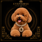 🐾 LA EXPERIENCIA PET IRIS
