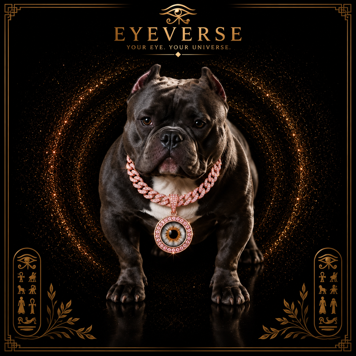🐾 LA EXPERIENCIA PET IRIS